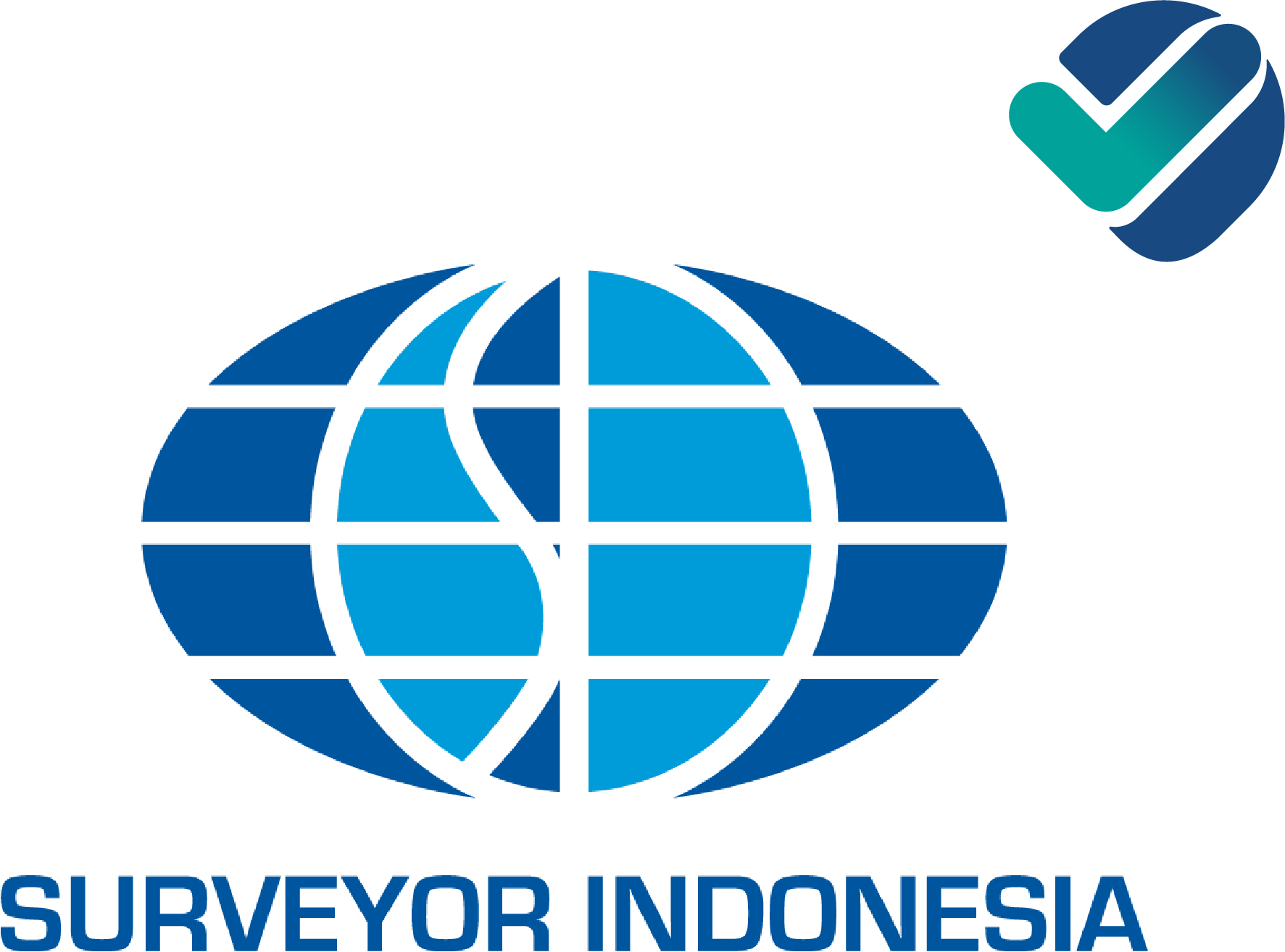 Company Type